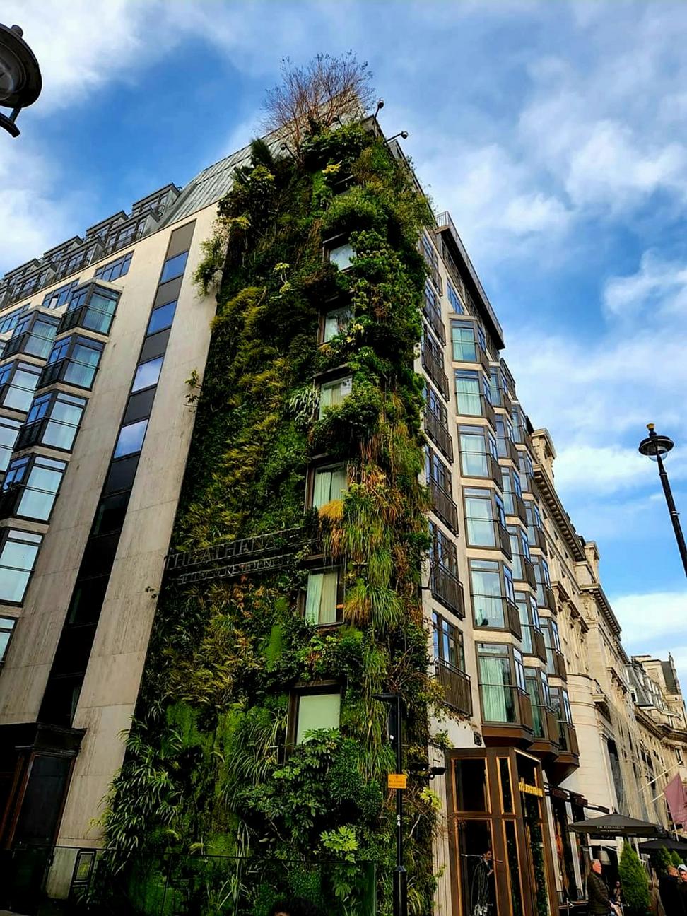 Sustainability focus