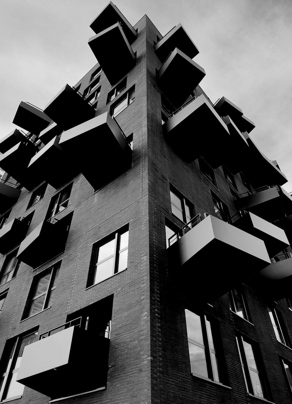 Shadow House